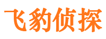 彰武市调查公司